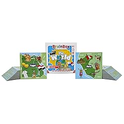 BrainBox The World Card Game - Memory & Observation