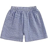Kids Toddler Boys Girls Gingham/Seersucker Shorts Elastic Waist Plaid/Striped Elastic Waist Shorts Pants Bottoms
