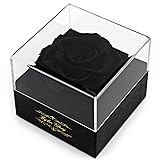 Kylin Glory Fresh Cut Flower Preserved Rose for
