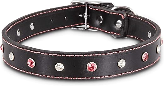 jeweled leather dog collars