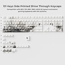 XVX Orchid Shine Through Keycaps, Double Shot PBT