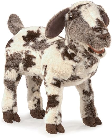 miniature poodle puppies for sale