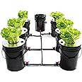 Hydroponic System, Growing System Kit 7 Bucket 5 Gallon Recirculating Deep Water Aquaculture, Hydroponic Growing Kit with Pump, Air Stone and Water Leveling Device for Indoor/Outdoor Leafy Vegetables