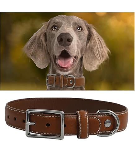 Amazon.com : TORRUNA Genuine Leather Dog Collar, Adjustable