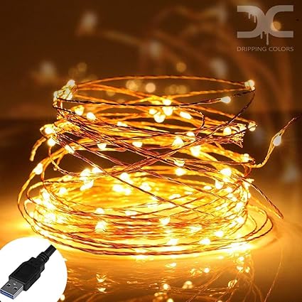 Dripping Colors 10Meters 100 LEDs Waterproof USB Copper String Lights, (Warm White)