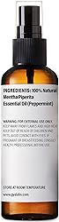 Gya Labs Peppermint Hydrosol for Hair and Skin