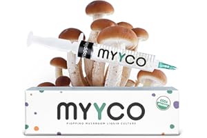 MYYCO Organic Pioppino Liquid Culture - Isolated Genetics for Fast Growth & Larger Mushrooms - Faster Growing Than Pioppino Spores - USDA Certified Organic Pioppino