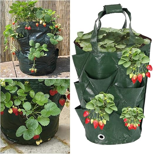 Your's Bath 2 Pack Hanging Strawberry Grow Bags Breathable Planter Bags