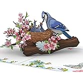 SOUL POP UP - Bluejay Bird Pop Up Mothers Day Card, 6x8 Inch Mothers Day Cards for Mom, Daughter, Grandma, Sister, Wife, Mother's Day Card from Son, Pop Up Birthday Cards for Women.