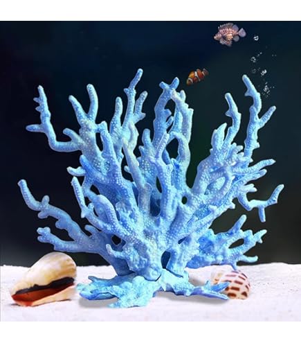 Amazon.com: HXSCOO 1pcs 100% Natural Coral Sea White Coral Tree