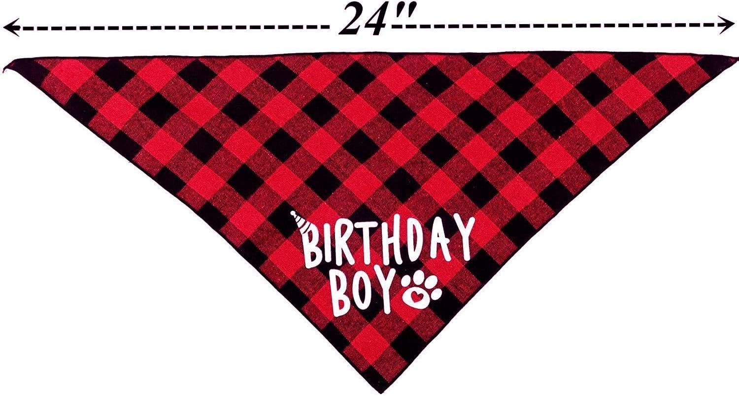 JPB Dog Birthday Hat and Dog Birthday Bandana Boy Set : Pet Supplies
