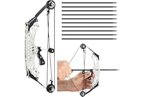 SQLWYLAT 8.8"/9.8" Compound Bow and Arrow Set for Age 14+, Cool Gadget for Man & Women, Archery Hunting Bow for Target Shooting Hunting Games Relieve Pressure Birthday Gift
