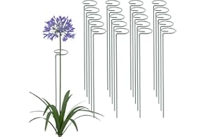 Thealyn 20 Pack 16 Inch Plant Support Stakes, Metal Single stemmed Flower Support Hoops，Garden Plant Stakes Plant Prop for Amaryllis Orchid Lily Rose Peony Tomatoes Gladiolus