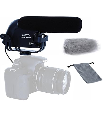 Amazon.com : Canon SM-V1 5.1 Channel Surround Microphone for S and