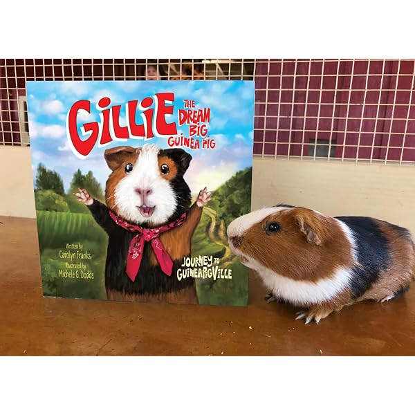 Gillie the Dream Big Guinea Pig: Journey to GuineaPigVille: Franks