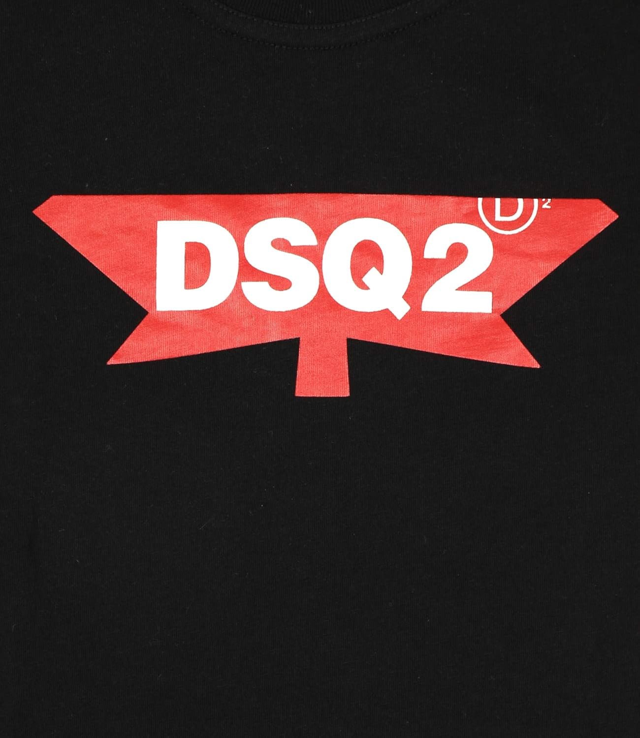 dsq2 logo