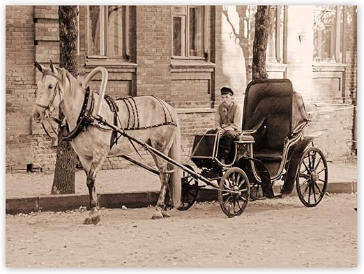 antique horse buggy
