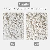 JeeMooTown 1.8KG White Decorative Stones 6-9mm for Plants Fish Tank view 3