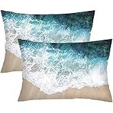 Coastal Throw Pillow Cover Queen Size Set of 2,Beach Ocean Theme Lumbar Pillow Case Polyester Pillowcases Soft Standard Pillow Cases with Zipper Decorative Bedding Cushion Covers for Couch,20"x30"