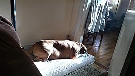 Review Image by Heather