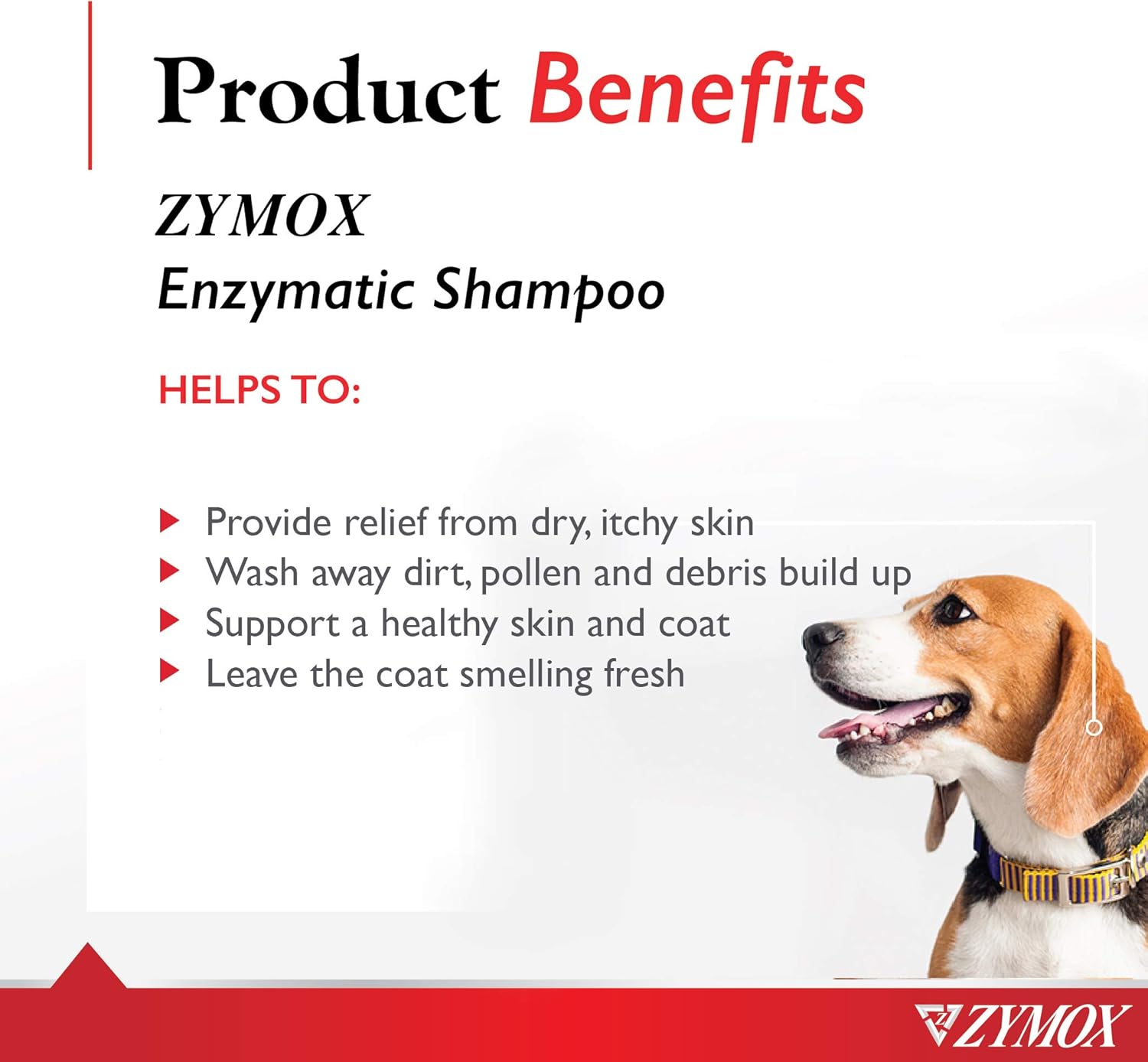 enzymatic shampoo