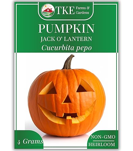 Amazon.com : Eden Brothers Pumpkin Seeds - Cinderella Non-GMO