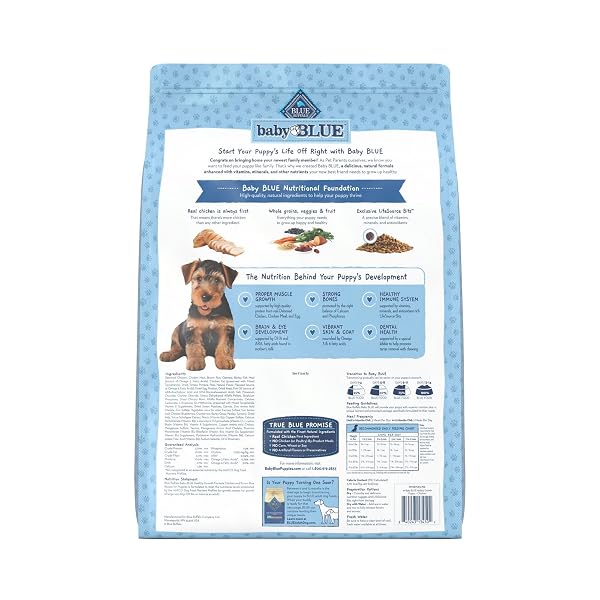 BLUE BUFFALO BABY BLUE NATURAL DRY FOOD FOR PUPPIES, HEALTHY GROWTH FORMULA WITH DHA, SAVORY CHICKEN RECIPE, 11-LB BAG