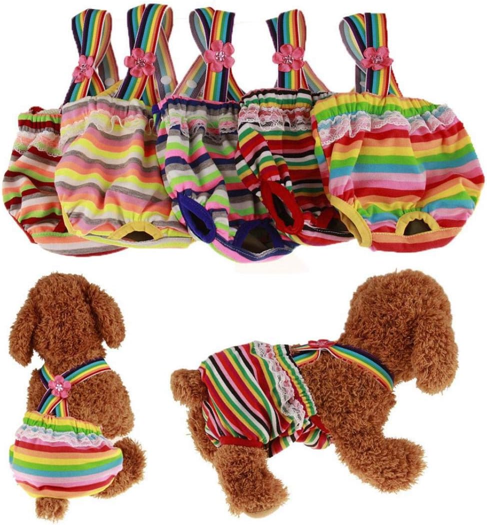 female dog accessories