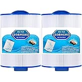 5CH-25 Spa Filter Replacement Compatible with Unicel 5CH-25, Filbur FC-0305, PMAX25P4, MAAX Spas 108868, Baleen AK-9011, 90-802, SD-00798, SD-00024 Swimming Pool Filter Cartridge, 25 Sqft, 2 Pack