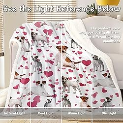 BlessLiving Red Hearts Dog Cat Print Plush Blanket