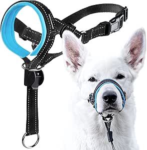 dog lead nose strap