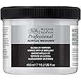 Winsor & Newton Professional Acrylic Medium, Gloss UV Varnish, 450ml (15.2-oz)