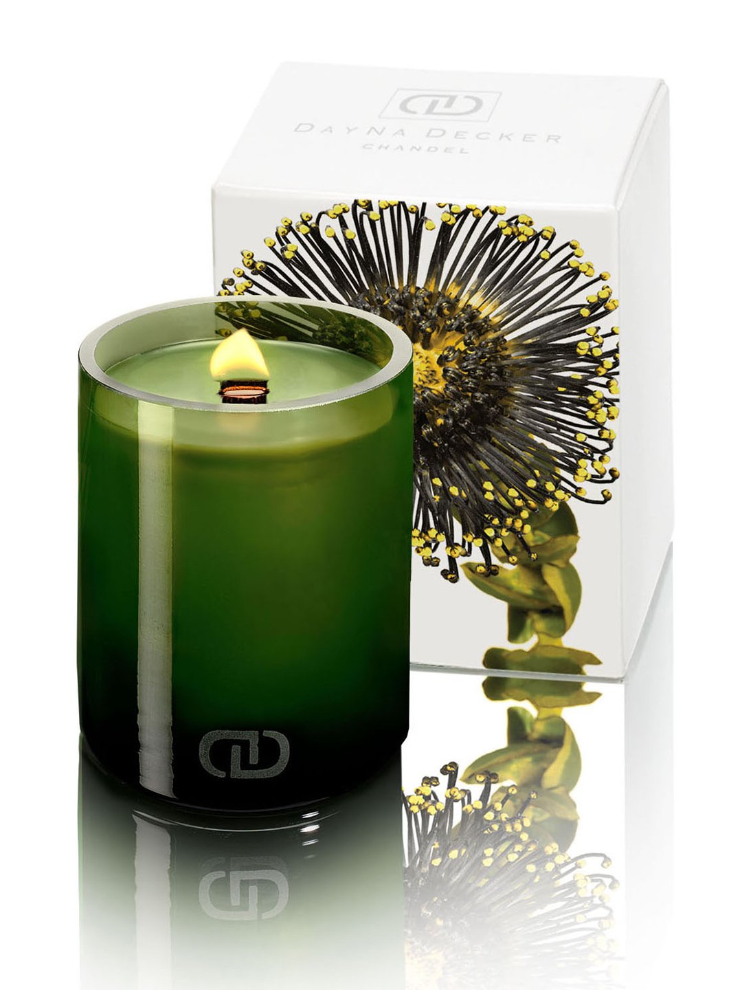 Amazon.com: Dayna Decker Botanika Chandel Candle, Taiga, 16 Ounce: Beauty