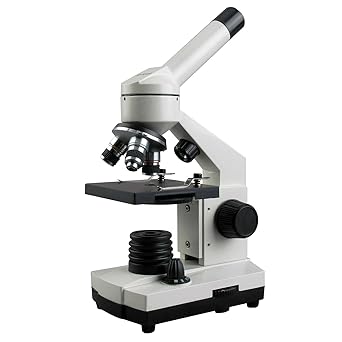 40x 1000x Cordless Led Metal Frame Compound Microscope W Top Bottom Lights Amazon Ca Industrial Scientific