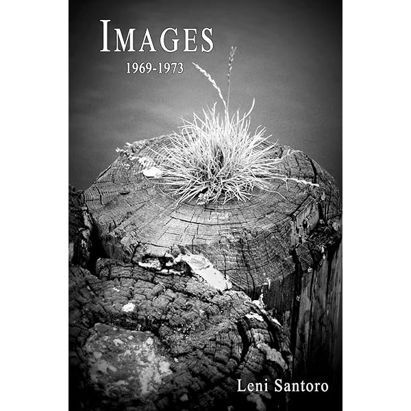 Amazon.com: Roman Signer: Travel Photos 1991–2022: 9783753304939