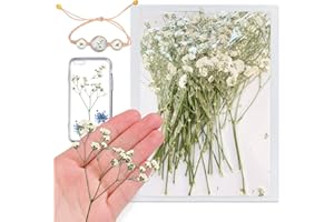 HQT 42PCS White Natural Dried Flowers Babysbreath with Stem for Resin, Real Pressed Gypsophila Flowers, Dry Flowers for Resin Jewelry DIY Phone Case Crafts Candle Making House Decor