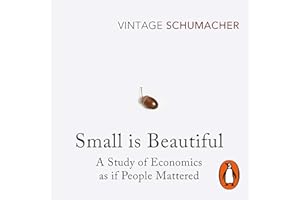 Small Is Beautiful: The classic call for human-scale economics which is now more relevant than ever