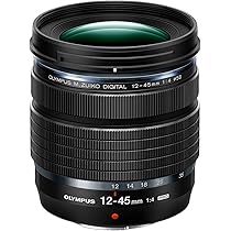 美品 M.ZUIKO DIGITAL ED 12-45mm F4.0 PRO 71DAW-XAt-L._AC_UL210_SR210,