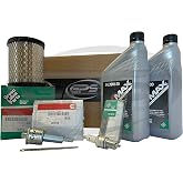 GPS GENERATOR PARTS SPECIALIST Tune Up Kit for Cummins Onan RV Generator Model KY 4000 with ONAMAX 10W30 oil for use with Spec P - R
