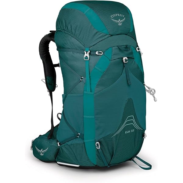 Amazon.com : Osprey Ariel 55L Women's Backpacking Backpack
