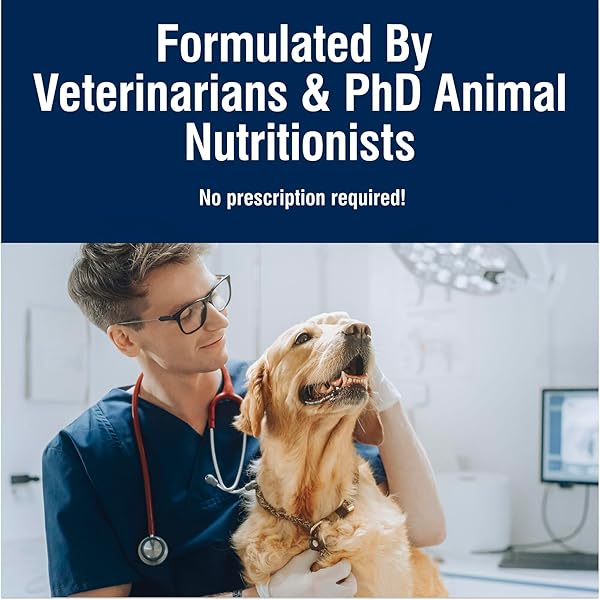 BLUE BUFFALO TRUE SOLUTIONS DIGESTIVE CARE NATURAL DRY DOG FOOD FOR ADULT DOGS, CHICKEN, 4-LB. BAG
