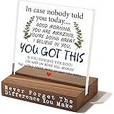 You Got This Motivational Desk Sign, Encouragement Gift for Coworker Friend Teacher Nurse, Inspirational Office Table Decor for Women Men, Uplifting Quote Plaque for Appreciation Birthday EC326