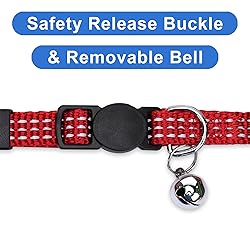Pawtitas Reflective Cat Collar with Safety Buckle