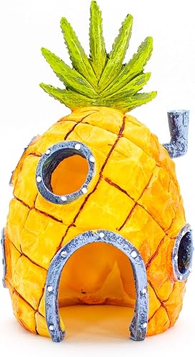 SpongeBob SquarePants