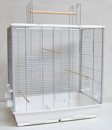 Ollesch Grande Cage à Oiseaux Pour Perruches Et Canari