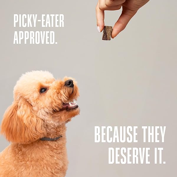 WHOLE LIFE DOG JUST ONE BEEF LIVER FREEZE DRIED DOG TREATS – HUMAN GRADE HIGH PROTEIN FOOD, HEALTHY TRAINING SNACKS, FREEZE DRIED FOOD TOPPERS, USA MADE NATURAL TREATS – 4 OZ (PACK OF 1)