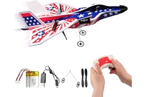 jaming Mini RC Plane, 2.4GHZ Remote Control Airplane with Gyro LED Light，2CH RTF Easy to Fly RC Glider Aircraft Toy for Beginners Kids Boys Girls Adults (818A)