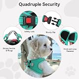 Joytale XXS Step In Dog Harness Teal Reflective Breathable Mesh view 6
