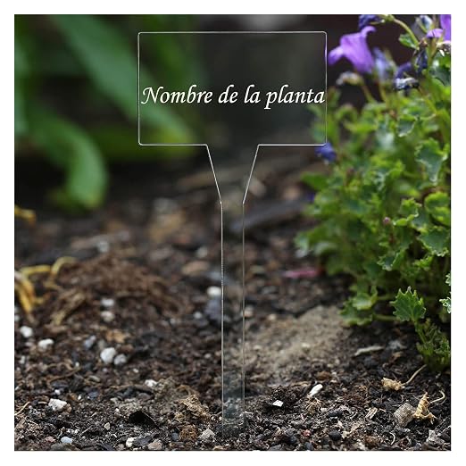 Acrí lico plantar signos cuadrado, X-tra (N) sparente, claro ...