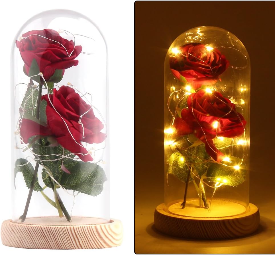 Beauty and The Beast Rose,2 pcs Enchanted Red Rose in Glass Dome with LED Light,Best Present for Her/Mom Holiday Birthday Party Wedding Anniversary Valentine Home Decor (Red)
